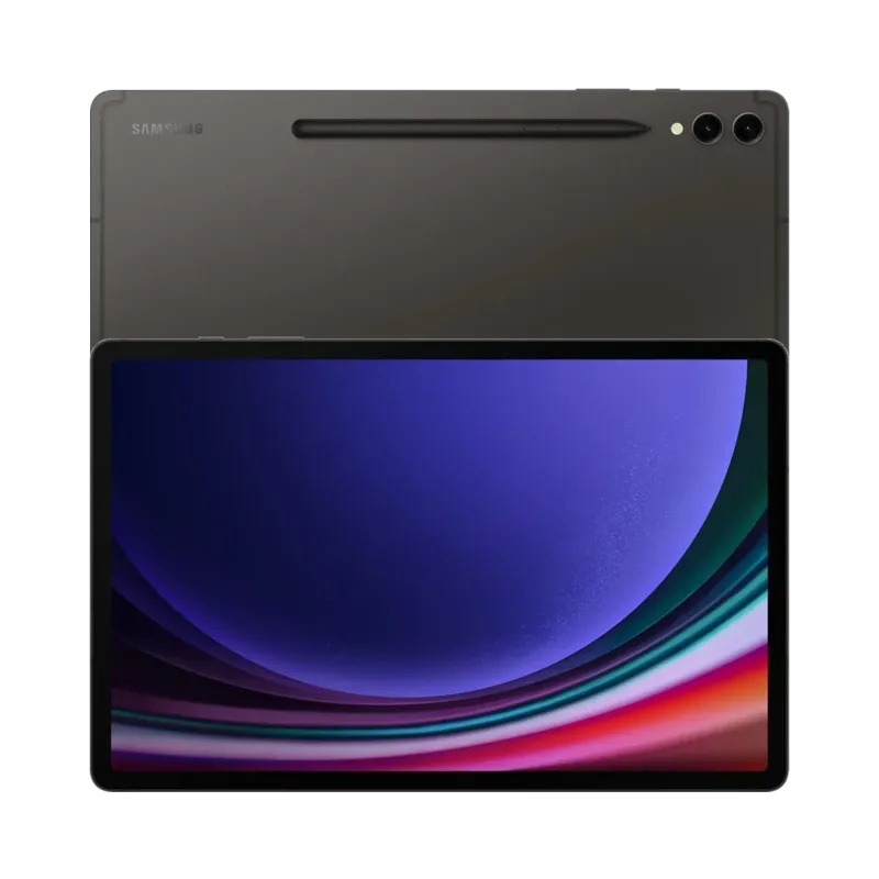 Samsung Galaxy Tab S9 Plus Gri
