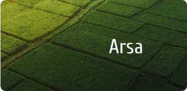 Emlak Arsa