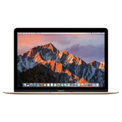 Apple MacBook 12 Sarı