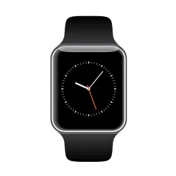 Apple Watch Series 5 Gri