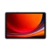 Samsung Galaxy Tab S9 Gri