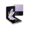 Mor